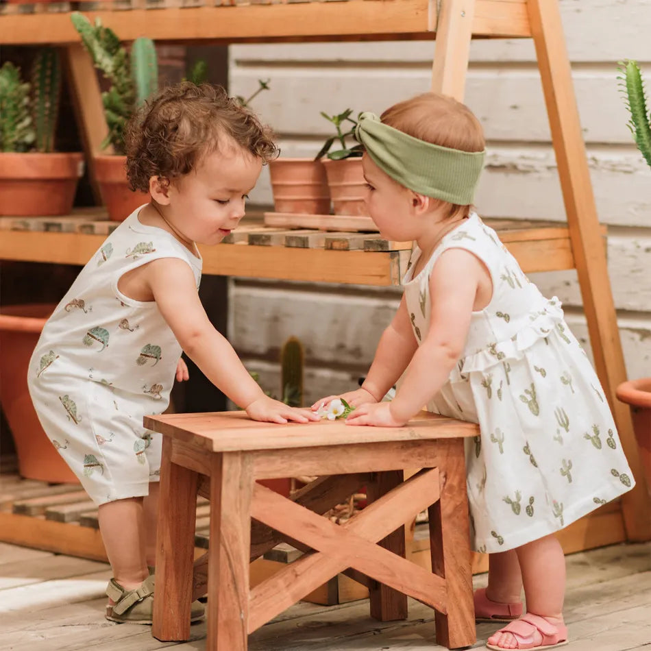 Petit Lem - Organic Cotton Dress - Cactus