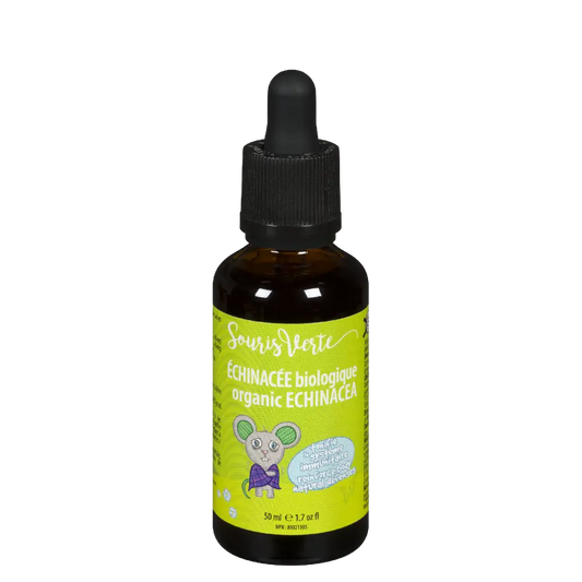 Souris Verte - Echinacea