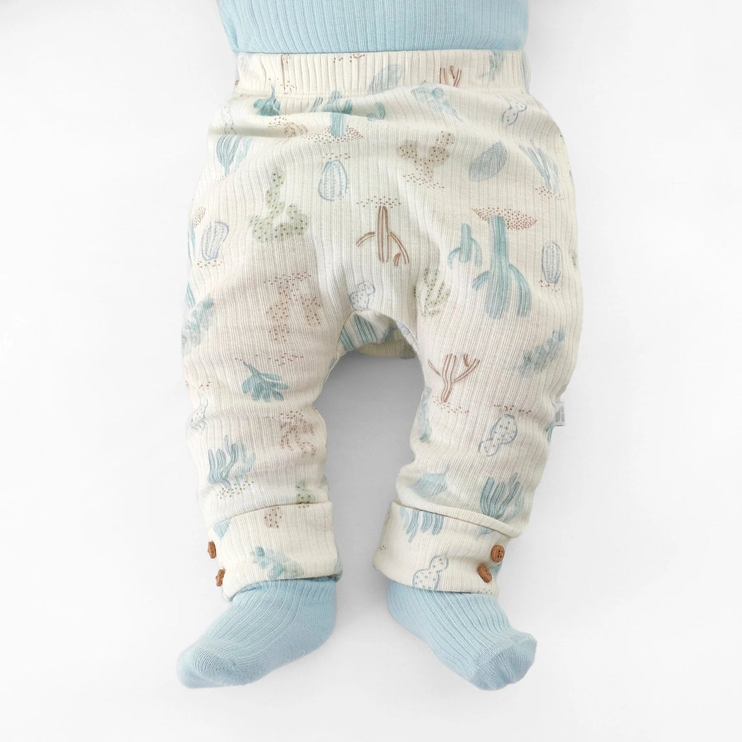 GERBER - 2-Pack Baby Boys Desert Cactus Pants