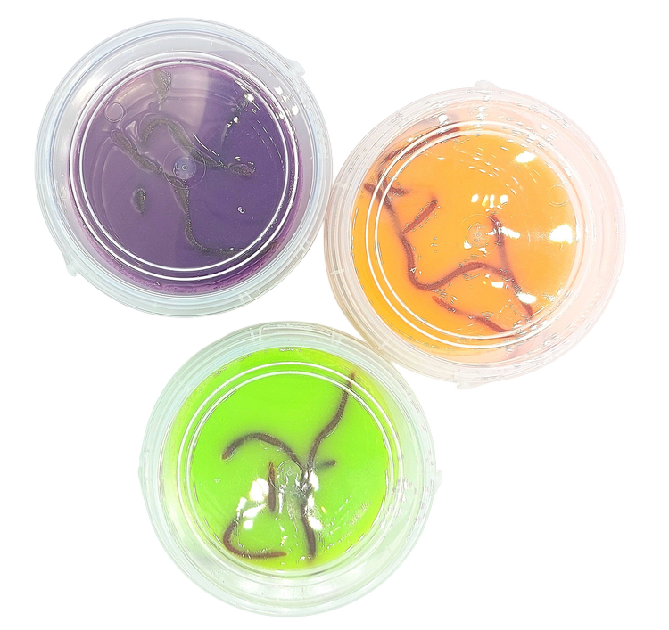 GOMMEE | HALLOWEEN Slime Bucket with Slimy Worms Frankenstein